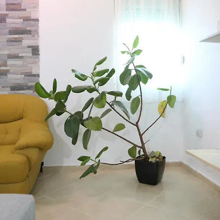 Appartement The Bllok Spot Tirana