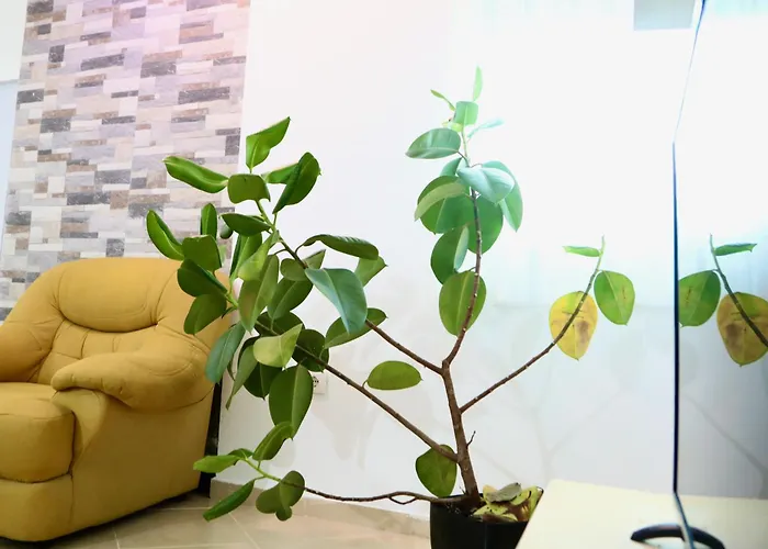 Apartamento The Bllok Spot Tirana